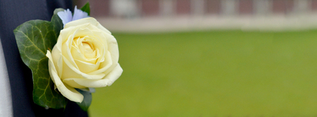 Wedding buttonhole with a yellow rose on man suit