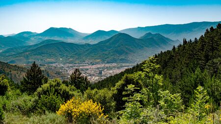 a mountain panorama with brooms in the South of France
