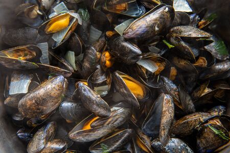 a closeup of mussels in cooking potの写真素材