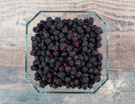 デューベリーの写真 イラスト素材一覧 8 608件 ストックフォトのamanaimages Plus