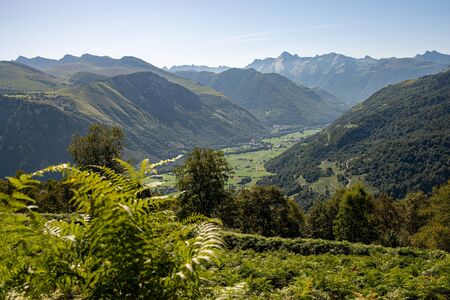 a panorama of the french Pyrenees with ferns