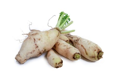white radish isolated on the white backgroundの写真素材