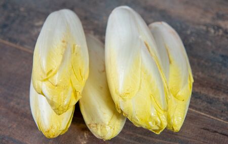 organic endive on the wooden background