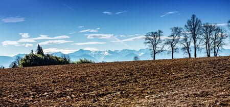 panorama of a field, Pyrenees mountains on backgroundの写真素材
