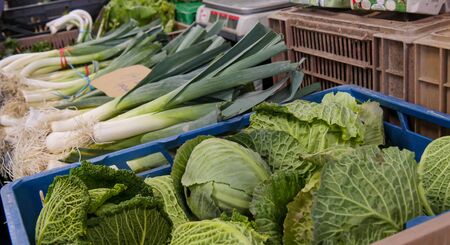 organic vegetables on the market placeの写真素材