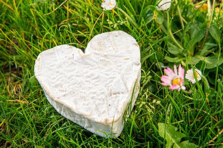 French Neufchatel cheese on the grass