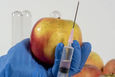 close up of woman with gloves uses a syringe. Genetic modification of fruits and vegetables.の写真素材