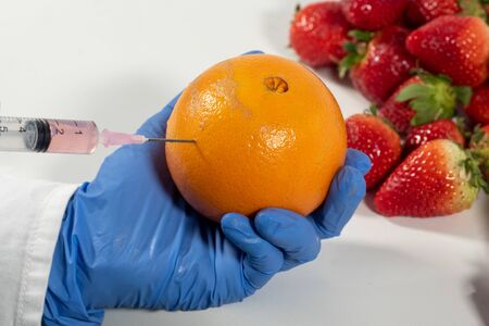 a woman with gloves uses a syringe. Genetic modification of fruits and vegetables.の写真素材