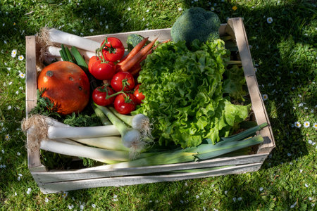 seasonal vegetables in a wooden crateの写真素材