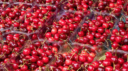 delicious organic cherries on the marketplace, France