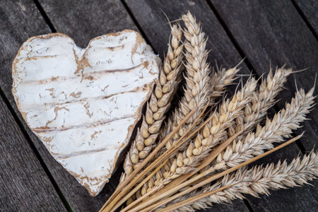 delicious traditional Neufchatel cheese, dairy product, Franceの写真素材