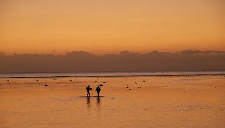 two fishmen in the sea in the evening sunlight on the background of the sunsetの写真素材