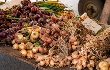 Organic onions on the French market stall.の写真素材