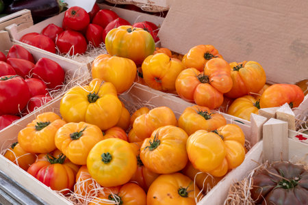 delicious yellow beef tomatoes on the market placeの写真素材