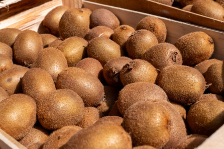 A crate full of brown kiwi fruit. The fruit is ripe and ready to eat. The crate is wooden and has a rustic feel to itの写真素材