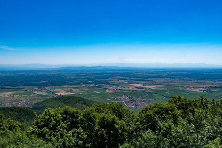 a view of Alsace plain in summertimeの写真素材