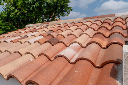 A roof with a tree in the background. The roof is made of red tiles. The roof is slanted and has a...