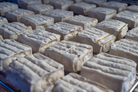 a view of lot of neufchatel cheesesの写真素材