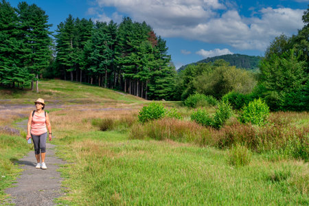 A woman is walking on a path in a grassy field. The sky is blue and there are trees in the backgroundの写真素材