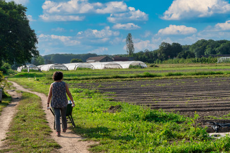 A woman is walking down a path in a field. The sky is blue and there are clouds in the backgroundの写真素材