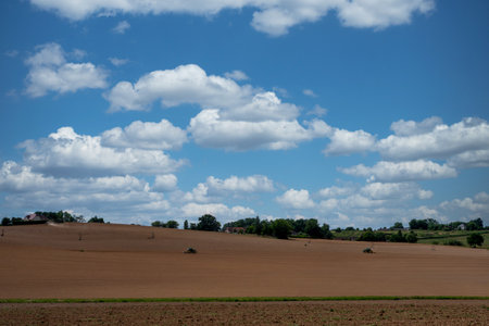 Large field with a few trees and a house in the distance. The sky is mostly clear with a few clouds scattered throughoutの写真素材