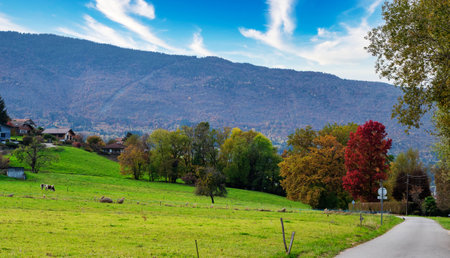 Road runs through a lush green field with a beautiful mountain in the background. The sky is clear and blue, and the trees are full of leaves. The scene is peaceful and sereneの写真素材