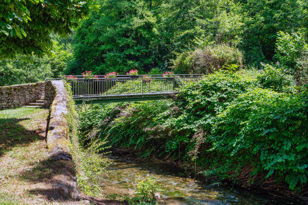 a Bridge over a stream with plants growing on the side. The plants are green and there are flowers on the bridgeの写真素材