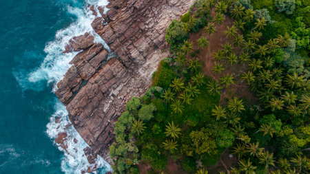 Aerial view of beautiful tropical beach and sea with coconut palm treeの写真素材