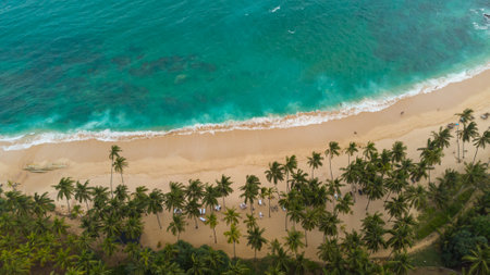 Aerial view of beautiful tropical beach and sea with coconut palm treeの写真素材