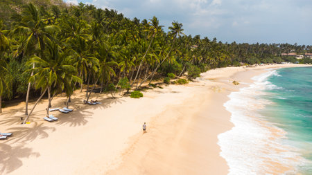 Aerial view of beautiful tropical beach and sea with coconut palm treeの写真素材
