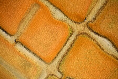 Aerial view of a salt marsh in autumn