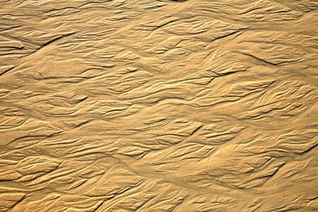 Traces in the sand on a beachの写真素材
