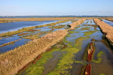 Old salt marsh on the island of RÃ ©
