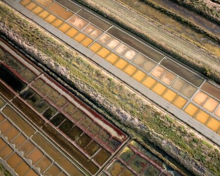 Aerial view of a salt marsh