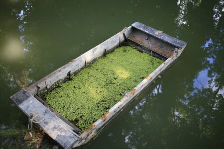 boat filled with water and covered with duckweedの写真素材