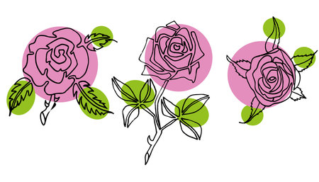 set of wall art line art roses minimalism Vector illustrationのイラスト素材
