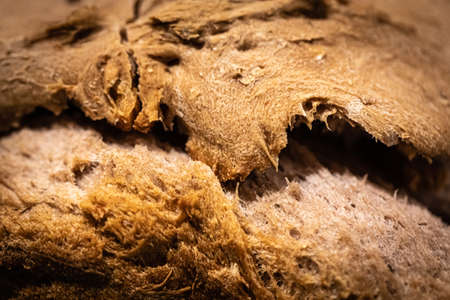 homemade bread close up