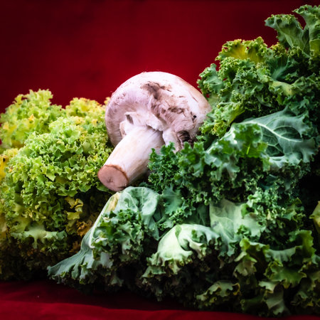 still life with cauliflower, egg, mushroom, salad and clementineの写真素材