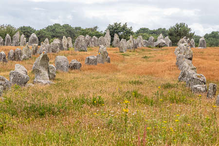 the famous alignments of Carnac, in Brittanyの写真素材