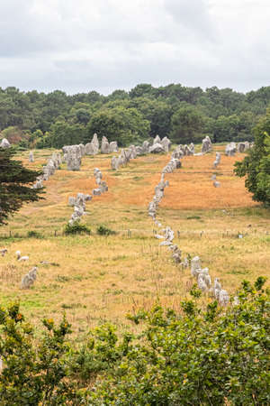 the famous alignments of Carnac, in Brittanyの写真素材