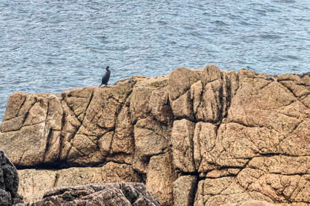 the island of Ouessant, off Brittanyの写真素材