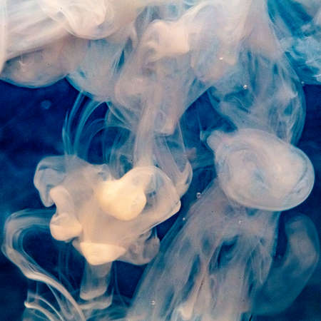 clouds of milk in a glass of water