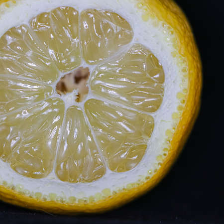 lemon slice close-up