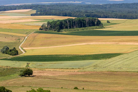 site of the Battle of Argonne, during the First World War