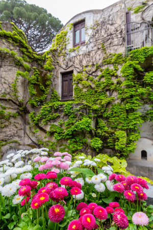 the village of Ravello, on the Amalfi Coast, Italyの写真素材