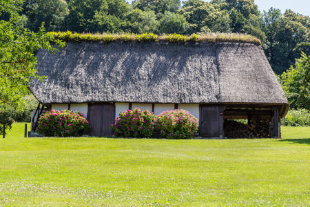 traditional Norman house, with thatched roofの写真素材