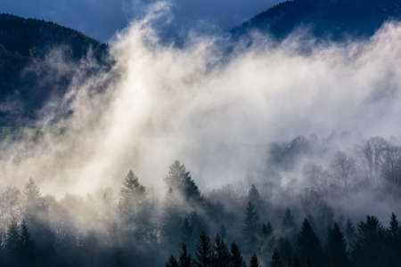 the Bauges mountain range, in the French Alps