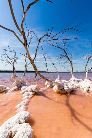 the salt lake of Lavalduc, in Provenceの写真素材