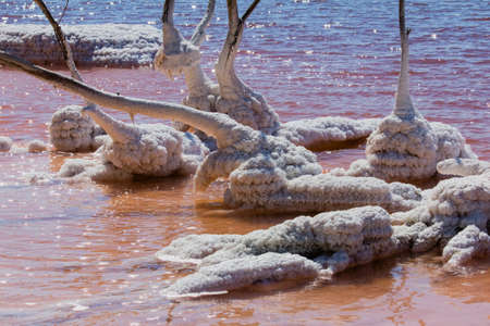 the salt lake of Lavalduc, in Provence