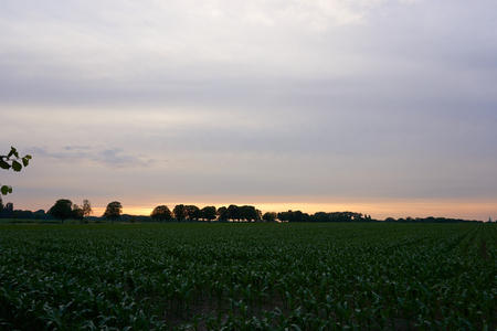 Landscape photo and a sunsetの写真素材